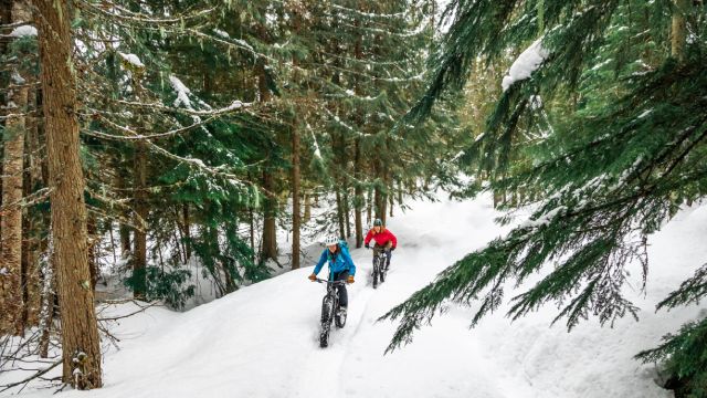 Two visitors biking in the snow.