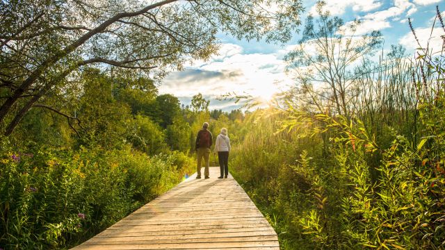 Orchard Trail in Rouge National Urban Park.