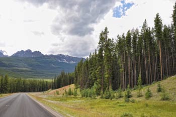 Une route traverse la vallée, bordée de montagnes enneigées et d’arbres.