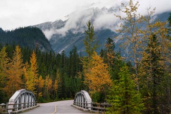 Un panorama de la route de la Vallée-de-la-Yoho à l’automne. 