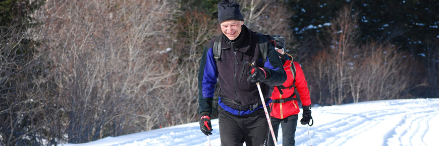 Two adults skiing on a forest trail.