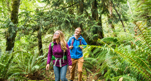 Two people hike along a trail surrounded by dense vegetation