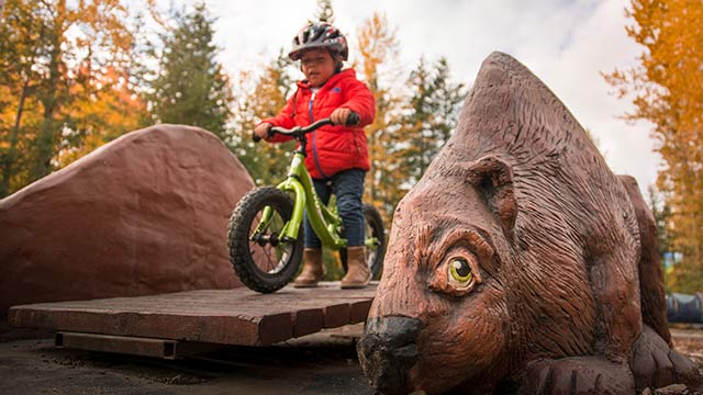 A toddler rides on a beaver-shaped ramp on his mountain bike in Autumn, 