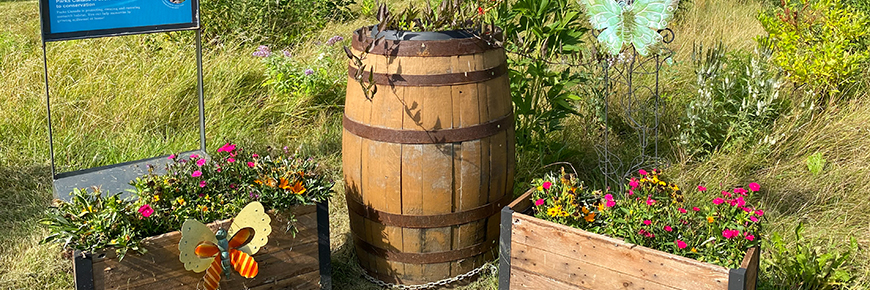  Monarch garden at Coteau-du-Lac National Historic Site
