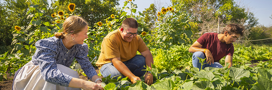 A guide with two persons in a produce garden at Batoche National Historic Site