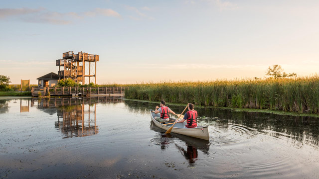 Two young men paddle out to the marsh in a canoe with a lookout in the background at Point Pelee National Park.