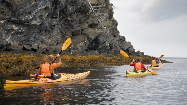 Three visitors sea kayaking on Bonne Bay at Gros Morne National Park.