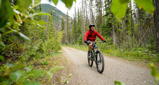 A man bikes along the Kicking Horse Trail to Amiskwi Trail. 