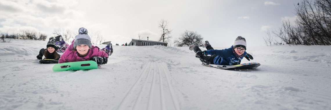 Young children slide down the hill behind the Patterson shelter in Kouchibouguac National Park.