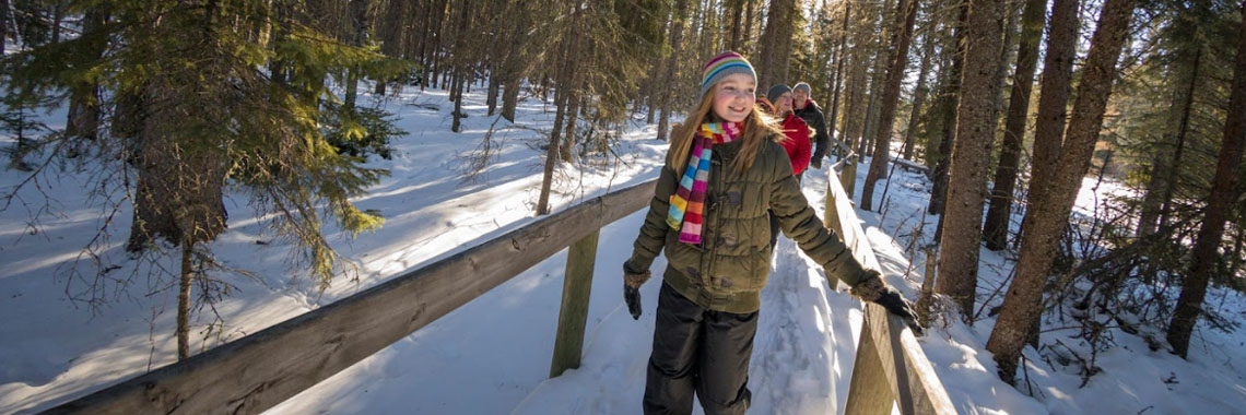 Three people walk on the boardwalk of the Waskesiu River Trail in Prince Albert National Park.