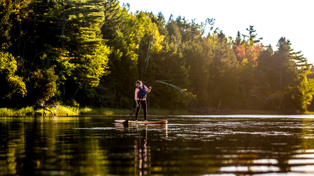 A young woman paddles on a stand up paddle board on Kouchibouguac River in the fall.
