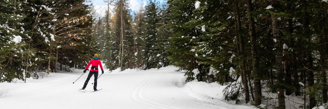 A person freestyle skiing in La Mauricie National Park.