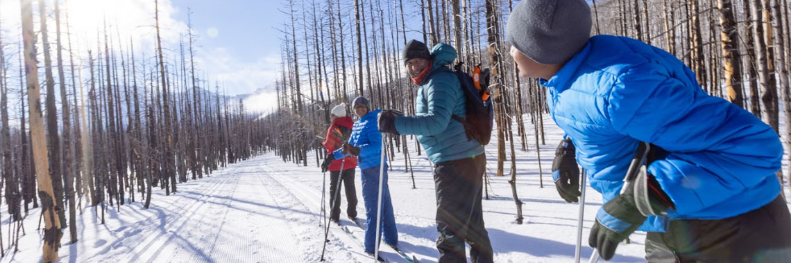 A group of four people cross-country skiing with mountains in the background at Waterton Lakes National Park.