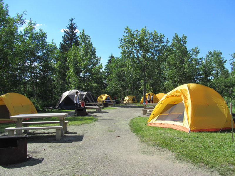 Several tents at Astotin Lake group camping area.