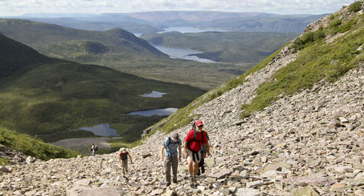 Des visiteurs font de la randonnée sur le sentier du mont Gros-Morne.