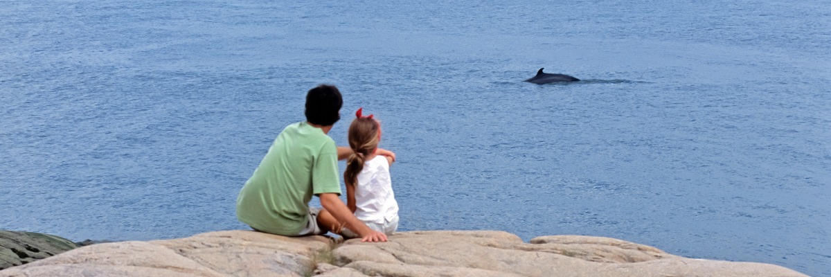 Un adulte et un enfant regardent une baleine.