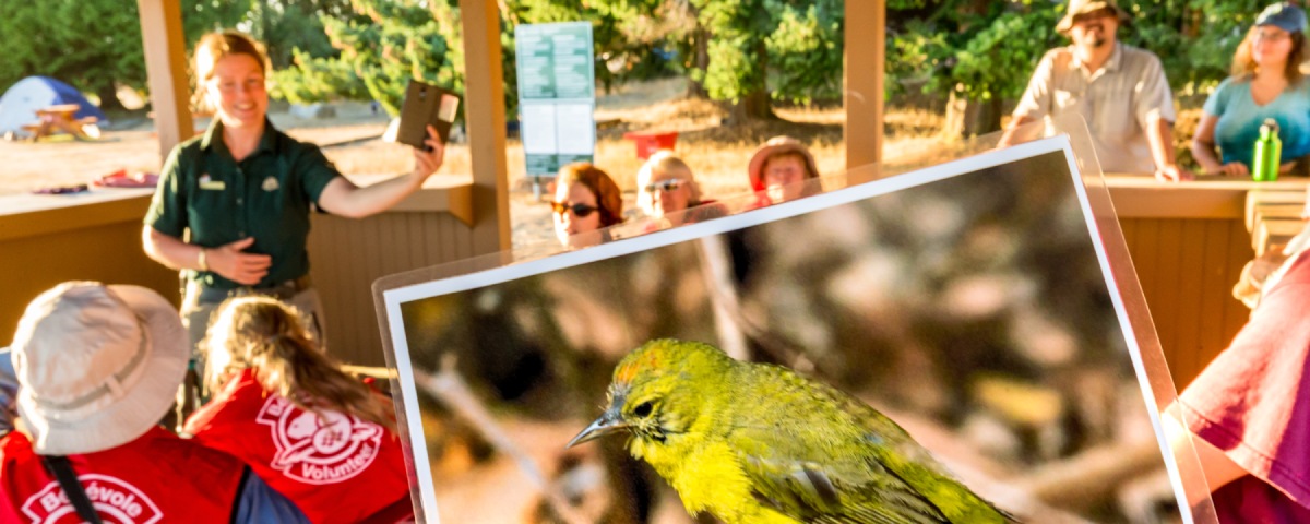 Des participants rassemblés dans un abri de plage lors d'une présentation des projets de restauration des espèces en péril de Parcs Canada.