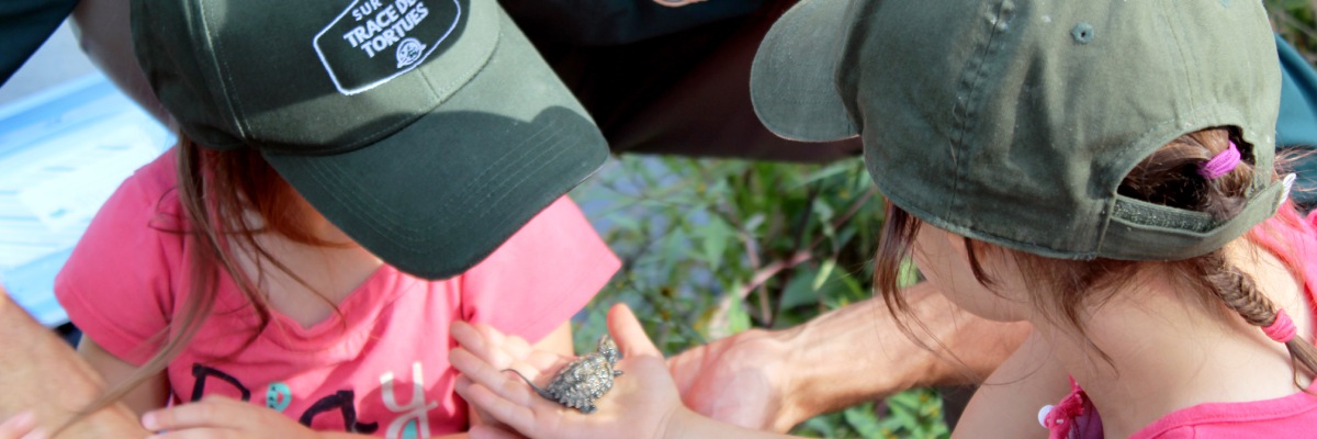 Two children and a Parks Canada employee hold a baby turtle in their hands.