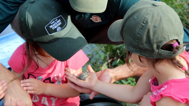 Two children and a Parks Canada employee hold a baby turtle in their hands.