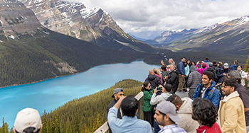 Many visitors look out over Peyto Lake from a viewpoint along the Icefields Parkway.