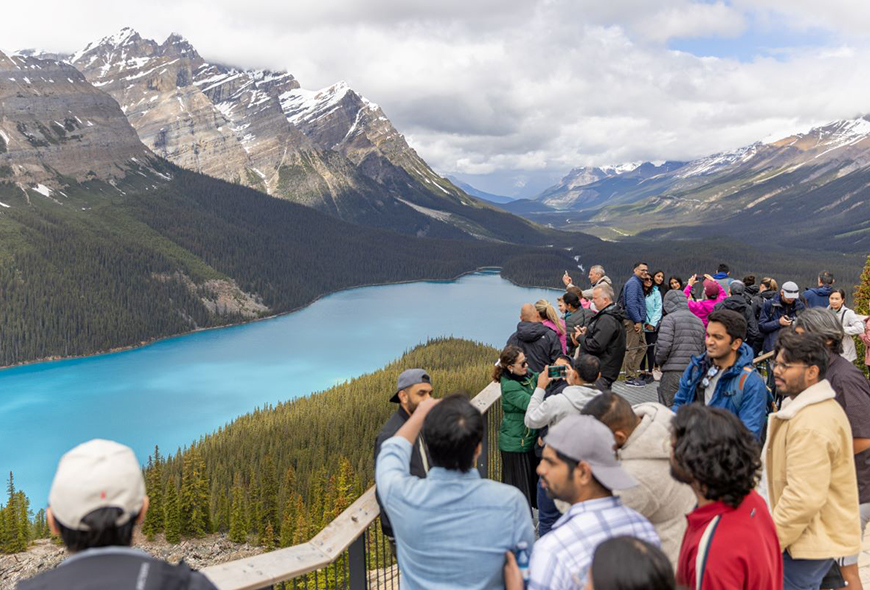 Many visitors look out over Peyto Lake from a viewpoint along the Icefields Parkway.