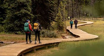 Four visitors walk along a boardwalk through the forest in Kootenay.