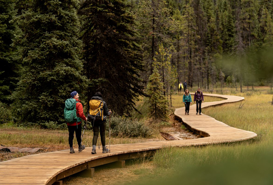Four visitors walk along a boardwalk through the forest in Kootenay.