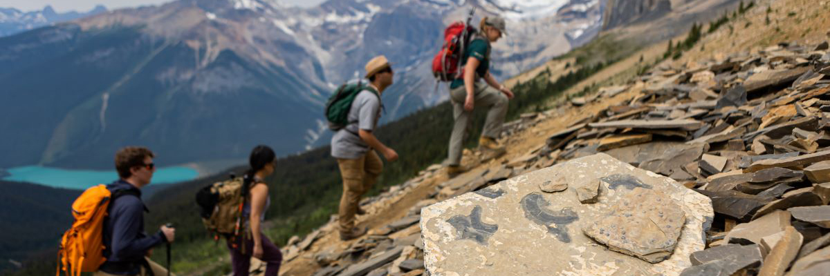 Des visiteurs en randonnée avec des montagnes en arrière-plan à Yoho.