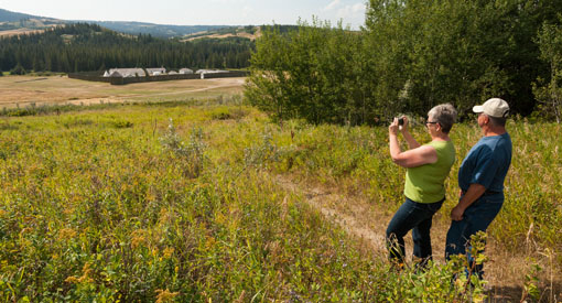 A couple are taking pictures of the landscape with the Fort Walsh in the distance.