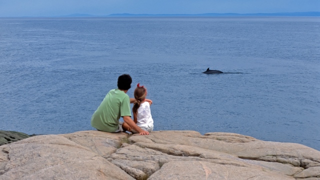 An adult and a child watching a whale from the shore.