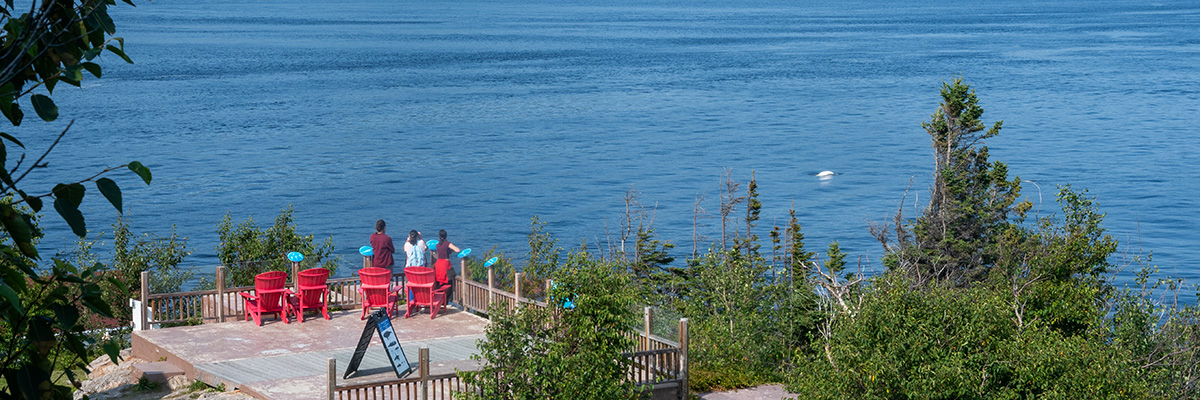 Visitors outside the Pointe-Noire Interpretation and Observation Centre observing a beluga.
