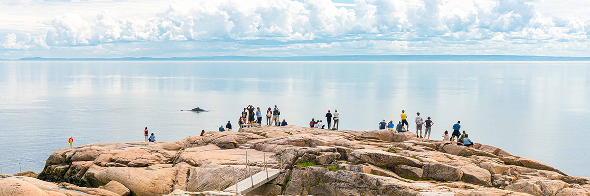 Visitors on the rocks outside the Cap-de-Bon-Désir Interpretation and Observation Centre watching a rorqual.