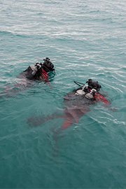 Deux plongeurs Deux plongeurs