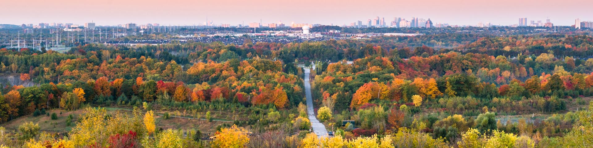 Photo de paysage du parc urbain national de la Rouge à l’automne, les arbres arborant des teintes de jaune, d’orange et de rouge. Au loin, on aperçoit le panorama de la ville de Toronto avec ses grands immeubles. Le ciel rose, avec des pointes de jaune du lever de soleil, est légèrement voilé.