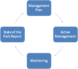 Management Plan, Active Management, Monitoring and State of the Park Report are arranged circularly demonstrating the continuous management cycle