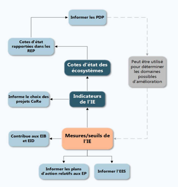 Figure 7 : Processus décisionnel du Programme de surveillance de l'IE