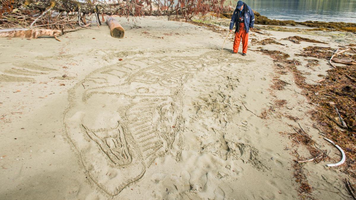 The Tseshaht Beach Keepers help Parks Canada to manage environmental and visitor safety in the Broken Group Islands. Here one of the Beach Keepers creates a traditional whale drawing in the sand. Pacific Rim National Park Reserve.