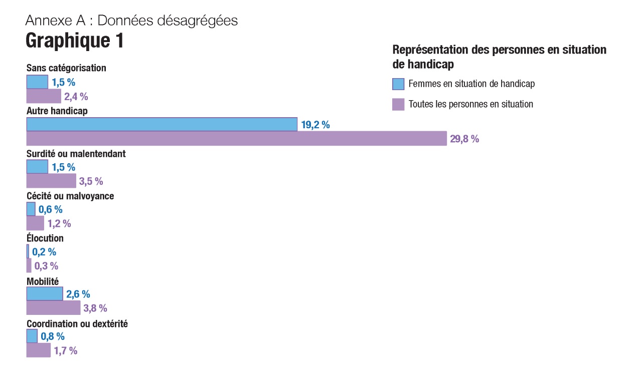 Graphique 1 : Représentation des personnes en situation de handicap - version textuelle suit.