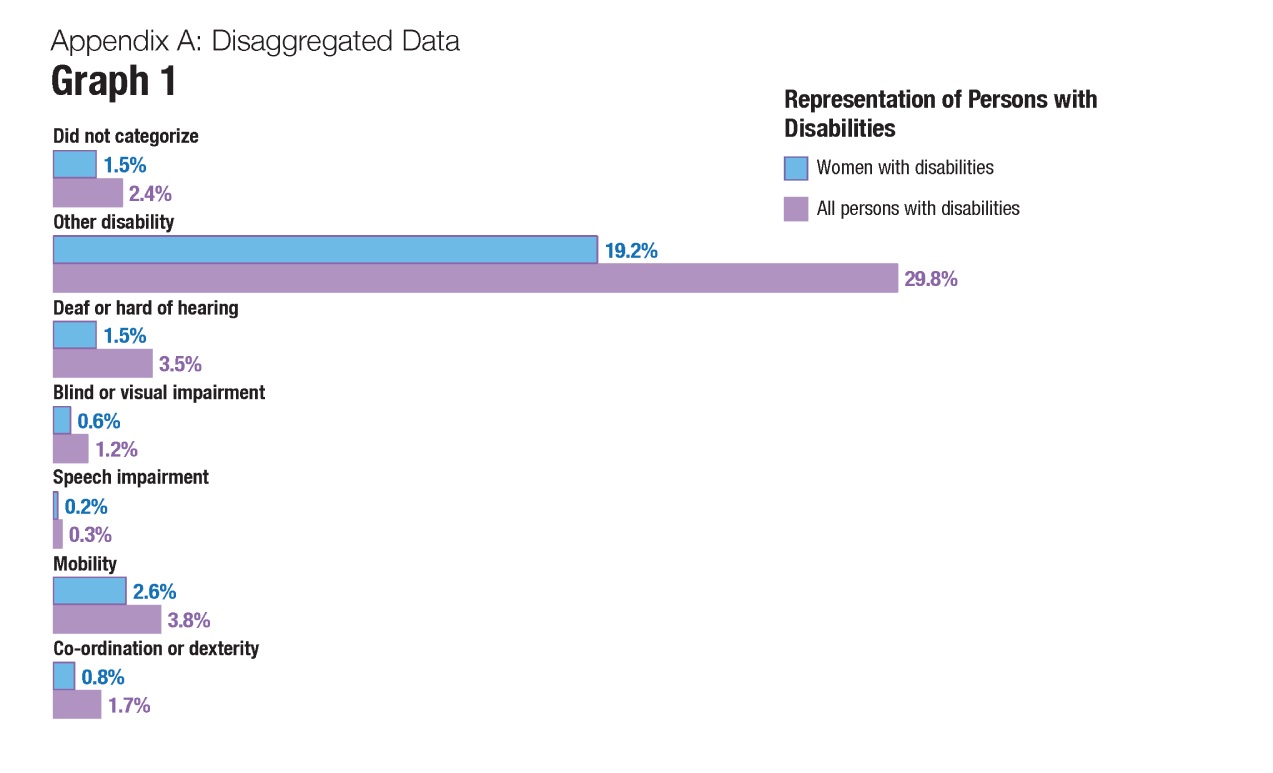 Graph 1. Representation of persons with disabilities - text version follows.