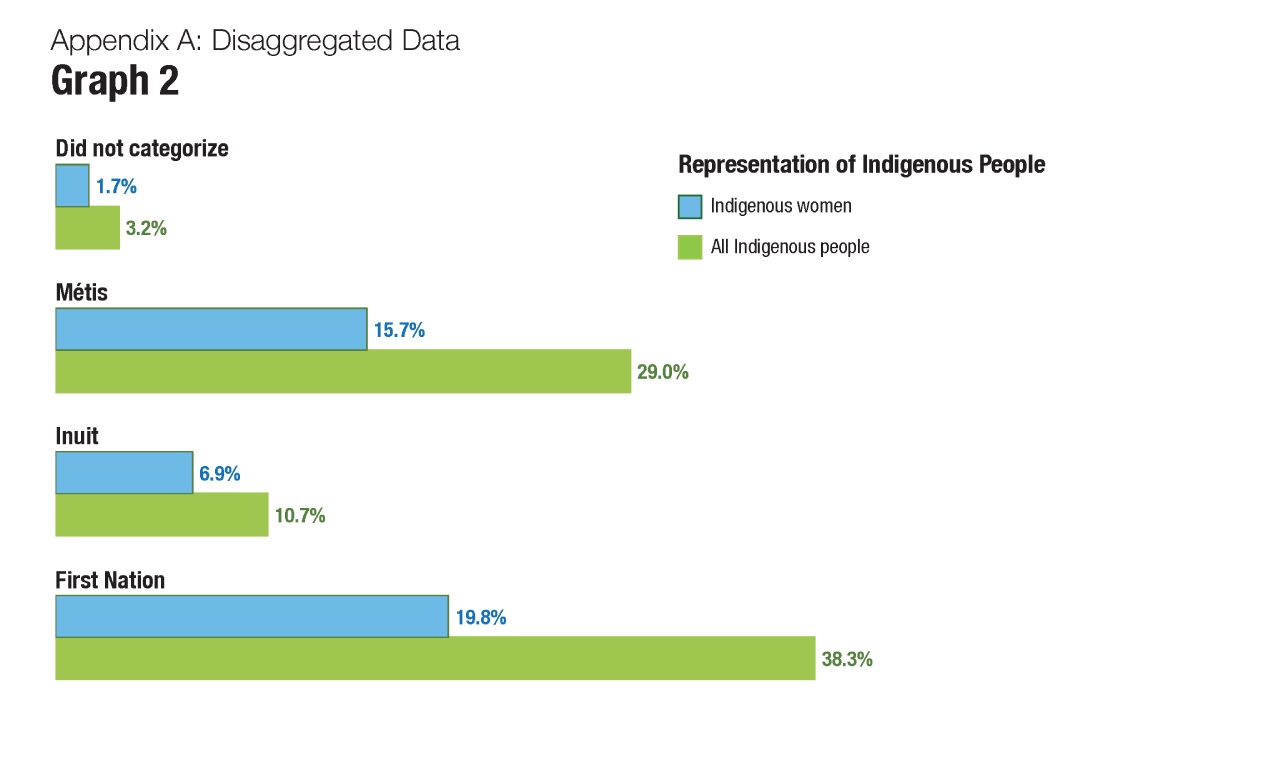 Graph 2. Representation of Indigenous peoples - text version follows.