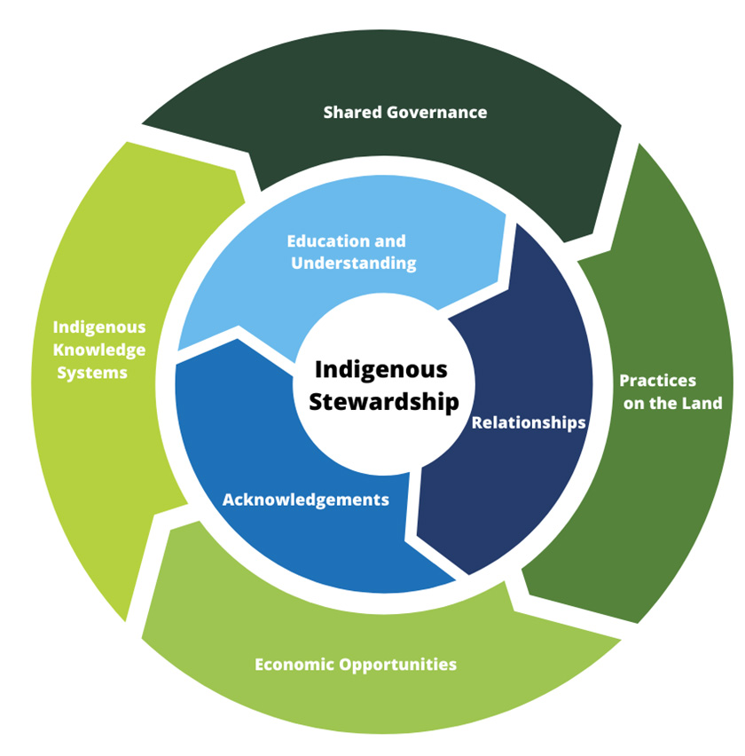 SmartArt graphic that visually communicates the core elements (in a green outer ring) and Enabling Elements (in a blue inner ring) around the central theme of Indigenous Stewardship