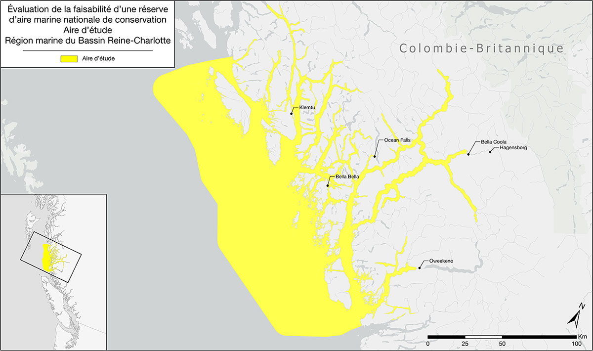 Zone d’étude pour l’évaluation de la faisabilité de la réserve d’aire marine nationale de conservation dans la région marine du Bassin Reine-Charlotte, en Colombie-Britannique