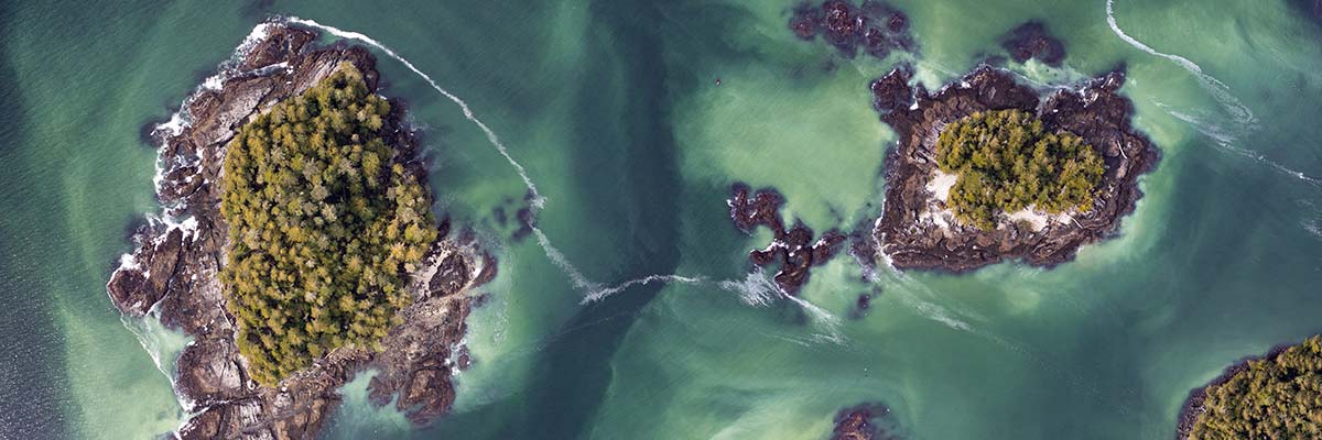Vue aérienne de petites îles dans l’océan. L’eau est d’un vert laiteux, ce qui signifie que des harengs ont récemment frayé.