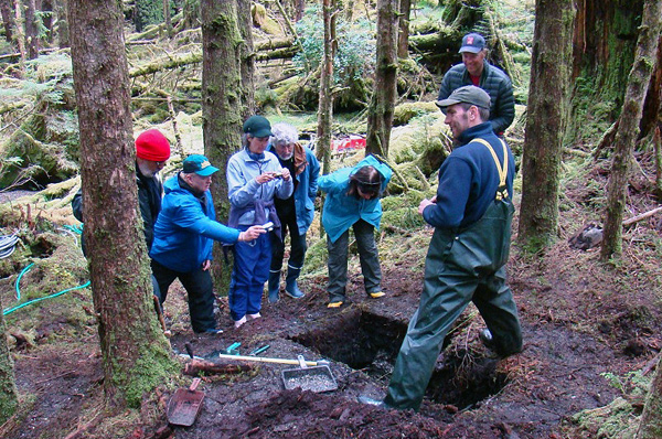 An archaeologist at a forest site in Gwaii Haanas