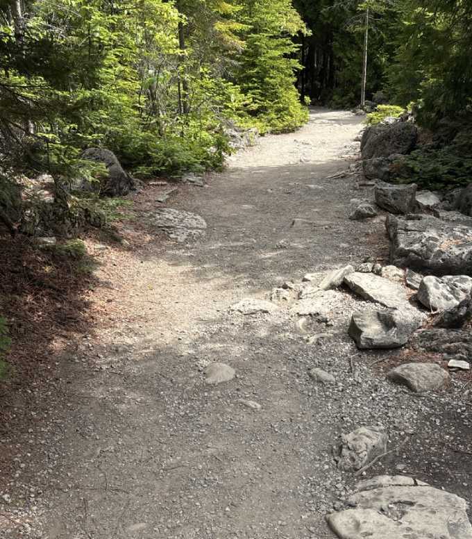 Gravel trail winding through a wooded area