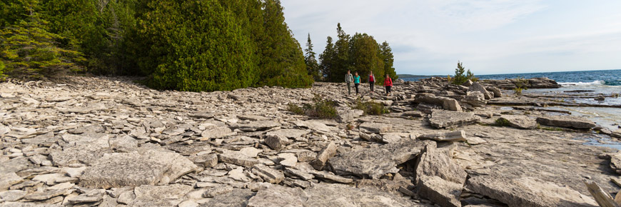 Shoreline of an island