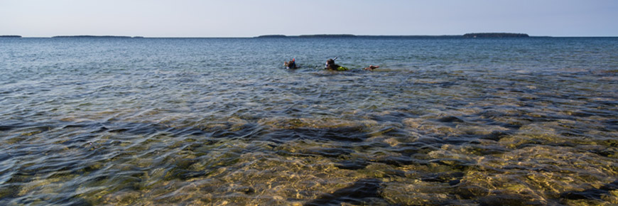 Scuba divers along a rocky shoreline.