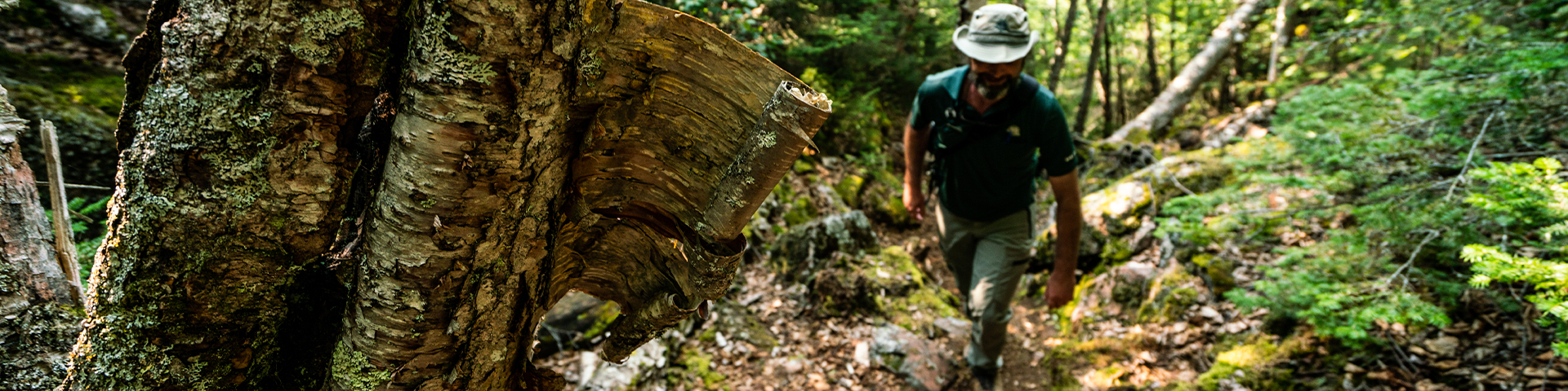 A Parks Canada staff member hiking up a trail.