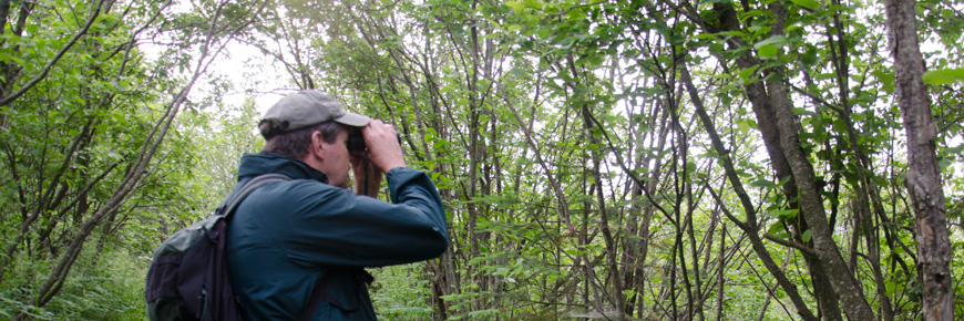 A Parks Canada employee looking through a pair of binoculars.