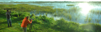 Two people with cameras on the edge of a marsh.